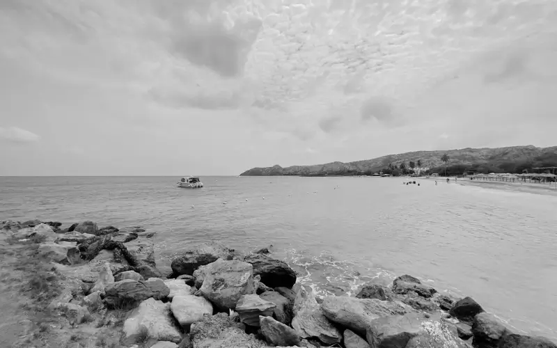 Offshore Companies in Nevis for Cross-Border Needs