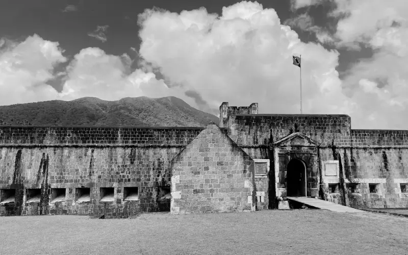 How Discretionary And Non-Discretionary Trusts Work